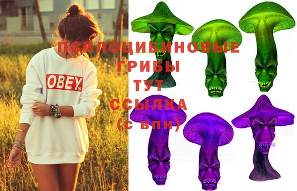 марки nbome Белокуриха
