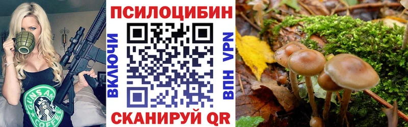 ссылка на мегу ТОР  купить  сайты  Калининец  Псилоцибиновые грибы Magic Shrooms 